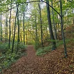 Gaestehaus Zum Rosengarten *