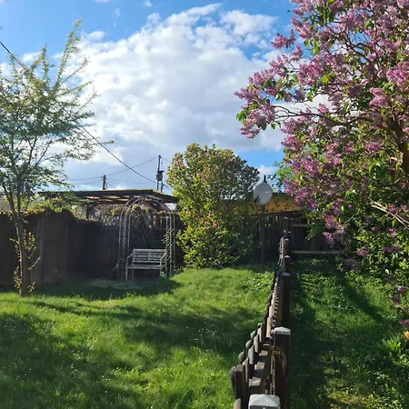Gaestehaus Zum Rosengarten Dresden