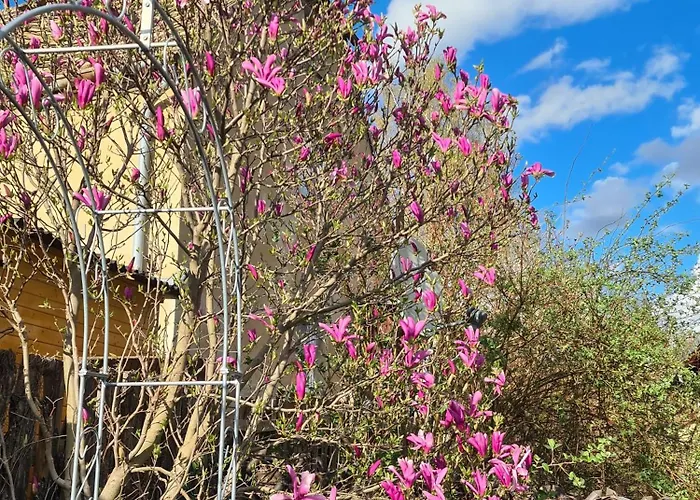 Gaestehaus Zum Rosengarten Dom wakacyjny