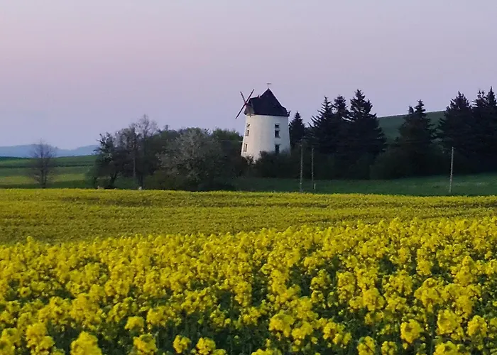 Dom wakacyjny Gaestehaus Zum Rosengarten *