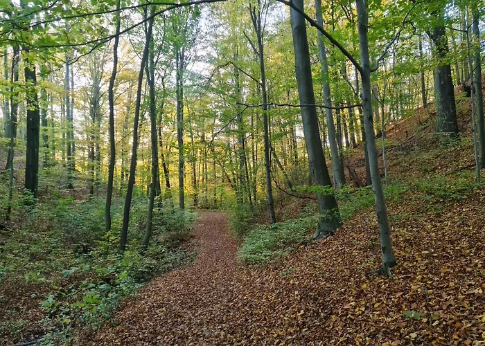 Gaestehaus Zum Rosengarten *