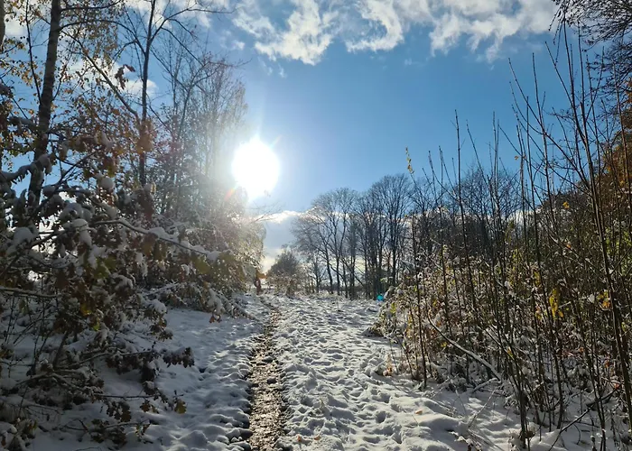 Gaestehaus Zum Rosengarten
