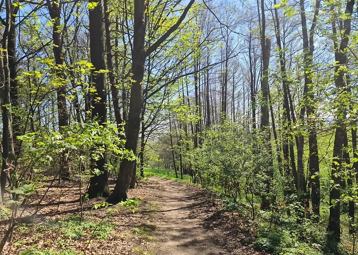 Gaestehaus Zum Rosengarten * Drezno