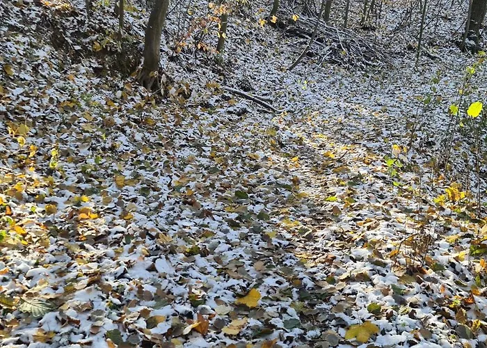 Gaestehaus Zum Rosengarten Drezno