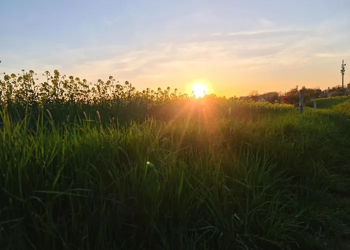 Gaestehaus Zum Rosengarten *