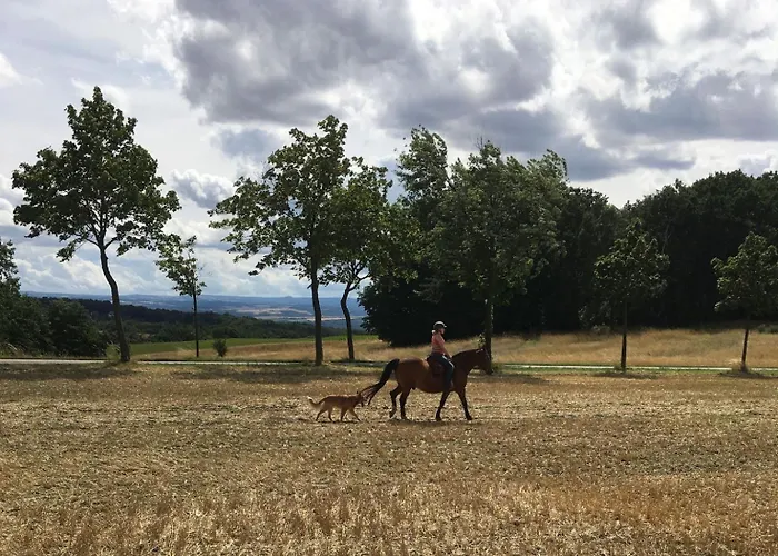 Gaestehaus Zum Rosengarten Dom wakacyjny Drezno
