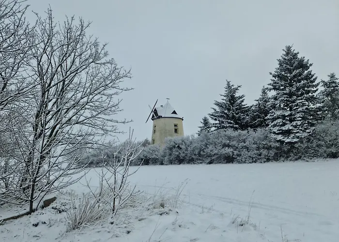 Gaestehaus Zum Rosengarten Dom wakacyjny Drezno