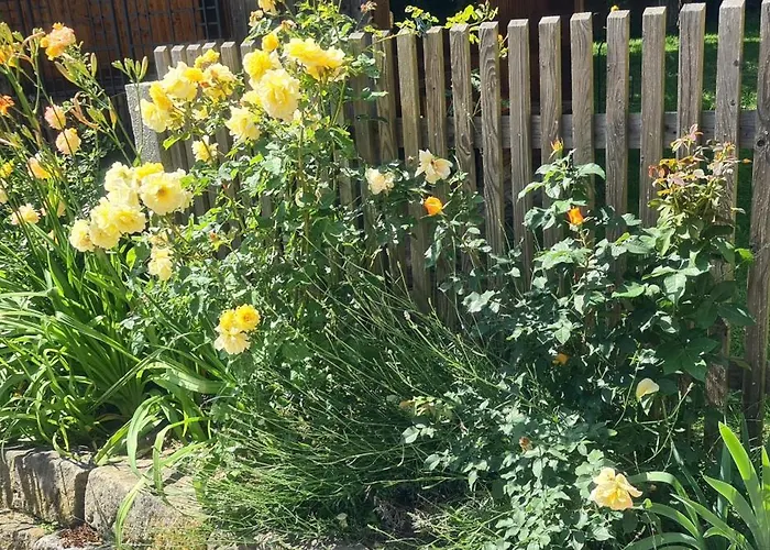 Gaestehaus Zum Rosengarten