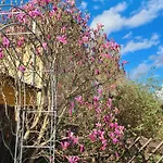Gaestehaus Zum Rosengarten 別荘