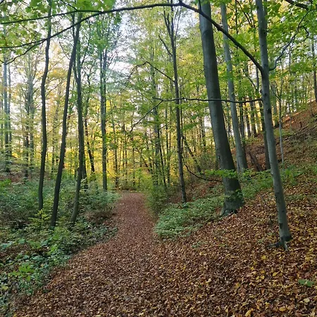 Gaestehaus Zum Rosengarten *