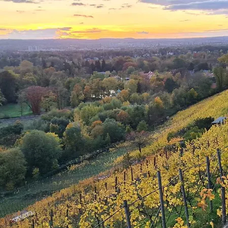 Gaestehaus Zum Rosengarten Dresde
