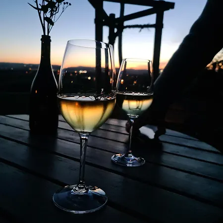 Gaestehaus Zum Rosengarten * Dresde