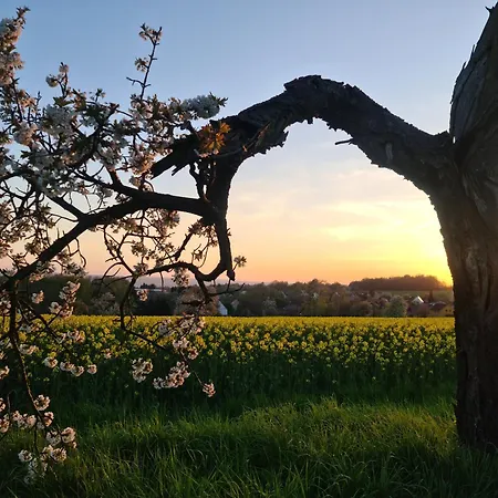 Gaestehaus Zum Rosengarten