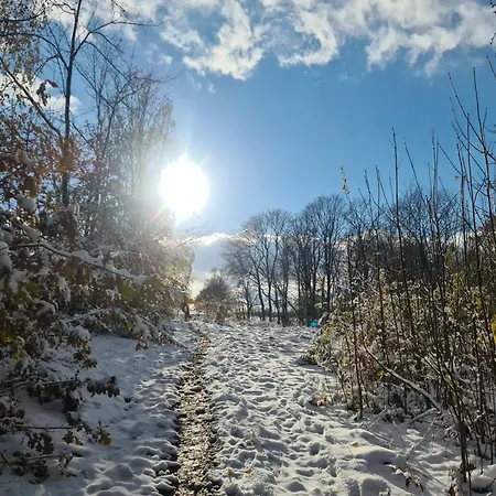 Gaestehaus Zum Rosengarten