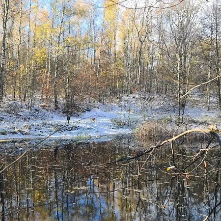Сasa de vacaciones Gaestehaus Zum Rosengarten Dresde
