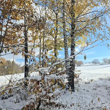 Gaestehaus Zum Rosengarten Dresde