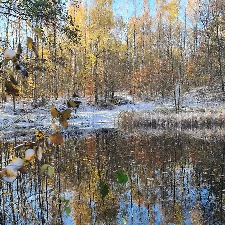 Gaestehaus Zum Rosengarten * Dresde