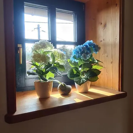 Hébergement de vacances Gaestehaus Zum Rosengarten