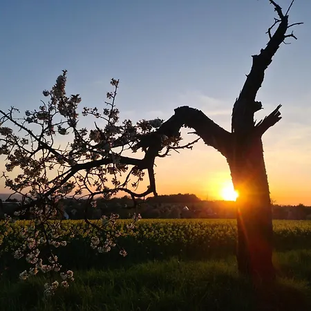 Hébergement de vacances Gaestehaus Zum Rosengarten