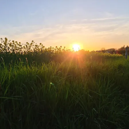 Gaestehaus Zum Rosengarten *