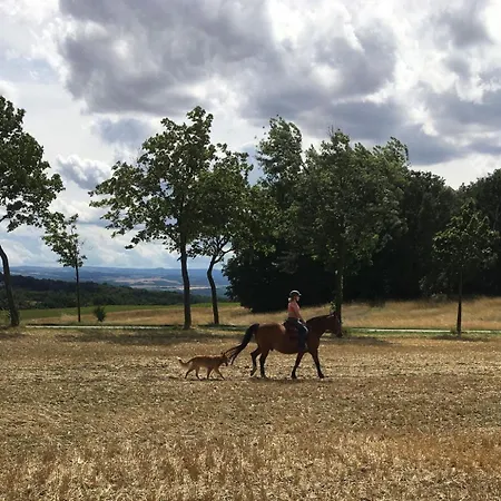Gaestehaus Zum Rosengarten Сasa de vacaciones Dresde