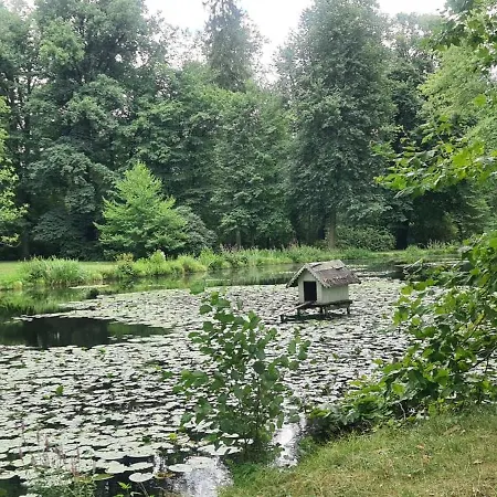 Hébergement de vacances Gaestehaus Zum Rosengarten *