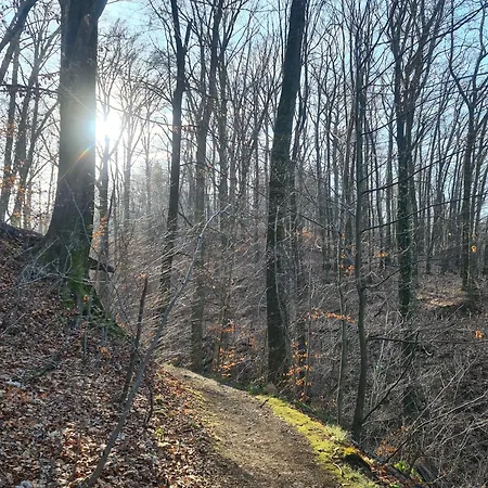 Gaestehaus Zum Rosengarten Сasa de vacaciones Dresde