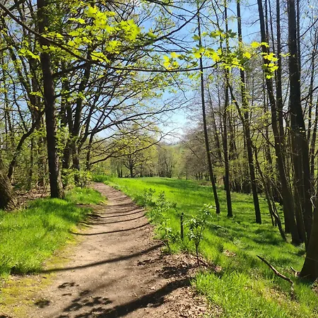 Gaestehaus Zum Rosengarten Hébergement de vacances *