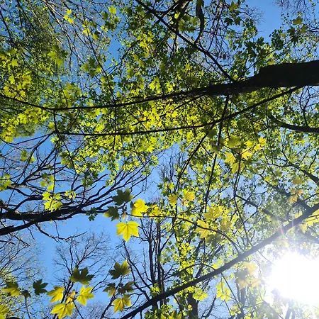 Hébergement de vacances Gaestehaus Zum Rosengarten *