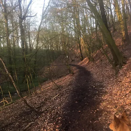 Gaestehaus Zum Rosengarten