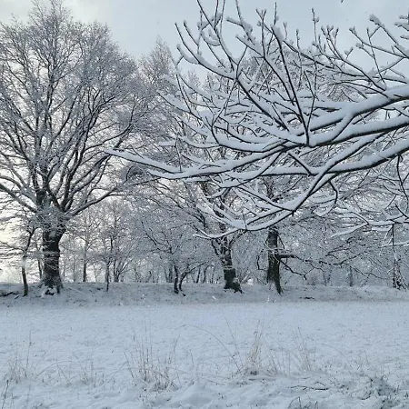 Gaestehaus Zum Rosengarten Dresde