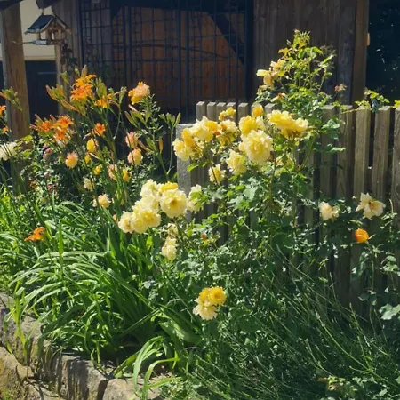 Gaestehaus Zum Rosengarten Hébergement de vacances