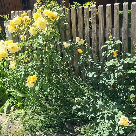 Gaestehaus Zum Rosengarten