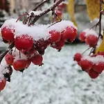 Gaestehaus Zum Rosengarten * 드레스덴