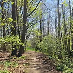 Gaestehaus Zum Rosengarten * 드레스덴