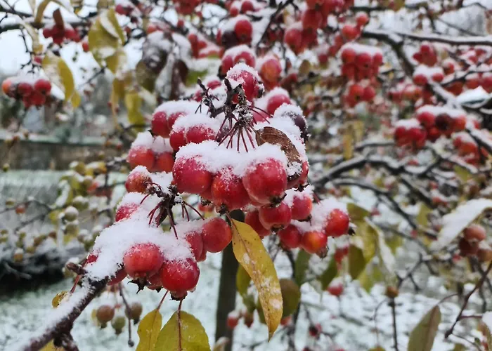 度假居 Gaestehaus Zum Rosengarten