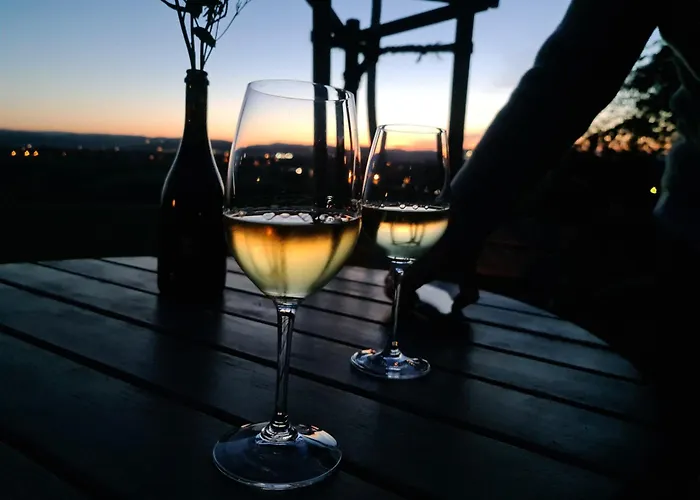 Gaestehaus Zum Rosengarten * 德累斯顿