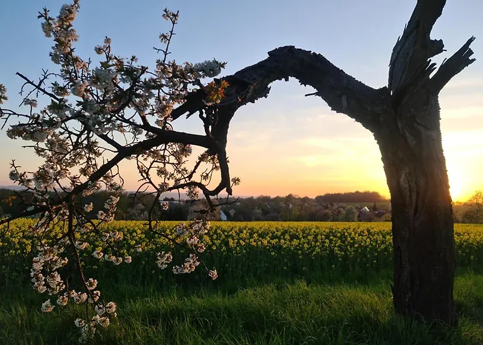 Gaestehaus Zum Rosengarten