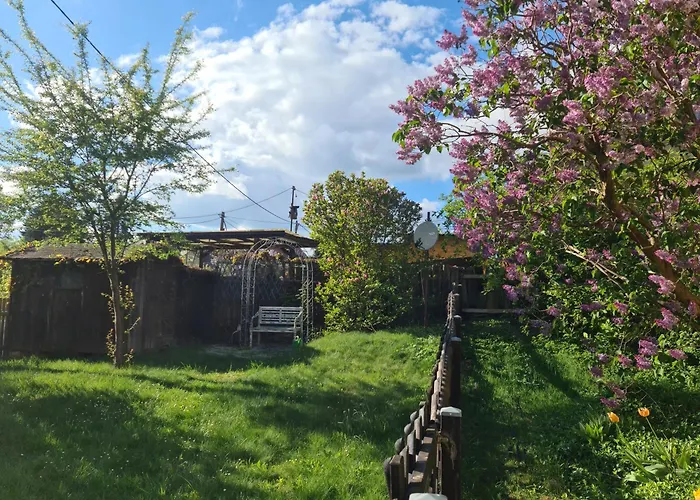 Gaestehaus Zum Rosengarten 德累斯顿