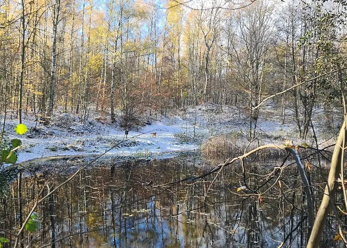 度假居 Gaestehaus Zum Rosengarten 德累斯顿