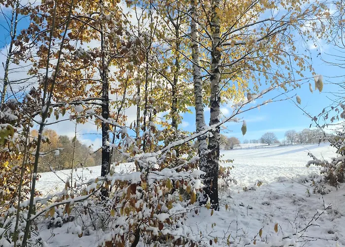 Gaestehaus Zum Rosengarten 德累斯顿