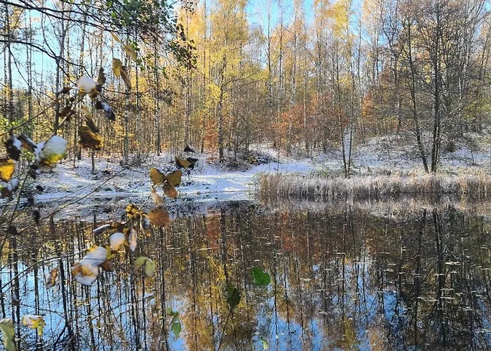 Gaestehaus Zum Rosengarten * 德累斯顿