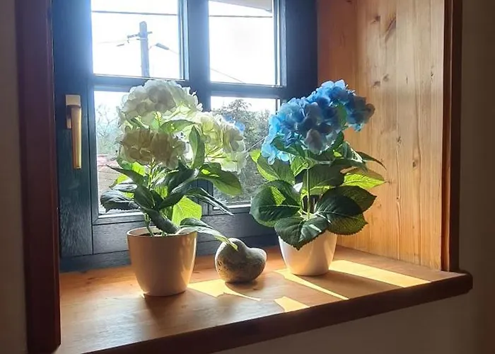 度假居 Gaestehaus Zum Rosengarten