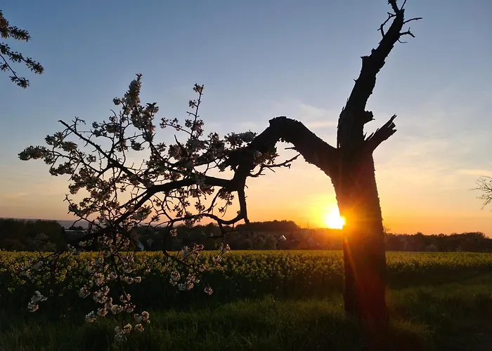度假居 Gaestehaus Zum Rosengarten