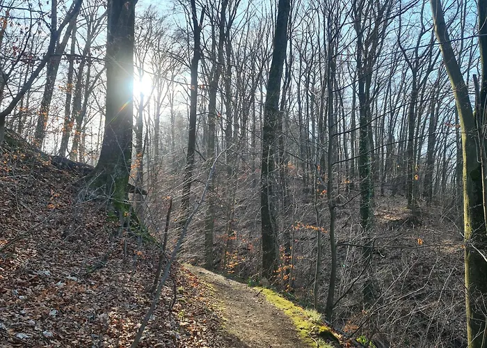 Gaestehaus Zum Rosengarten 度假居 德累斯顿