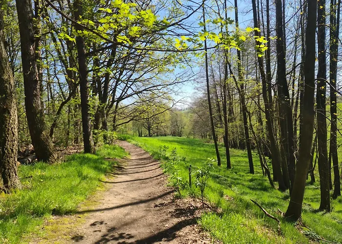 Gaestehaus Zum Rosengarten 度假居 *