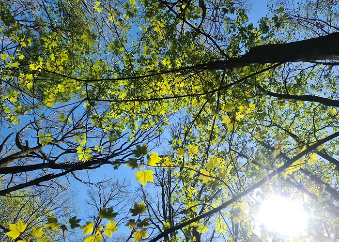 度假居 Gaestehaus Zum Rosengarten *