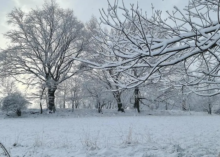 Gaestehaus Zum Rosengarten 德累斯顿