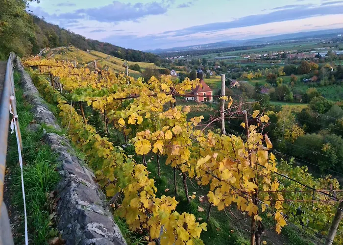 Gaestehaus Zum Rosengarten