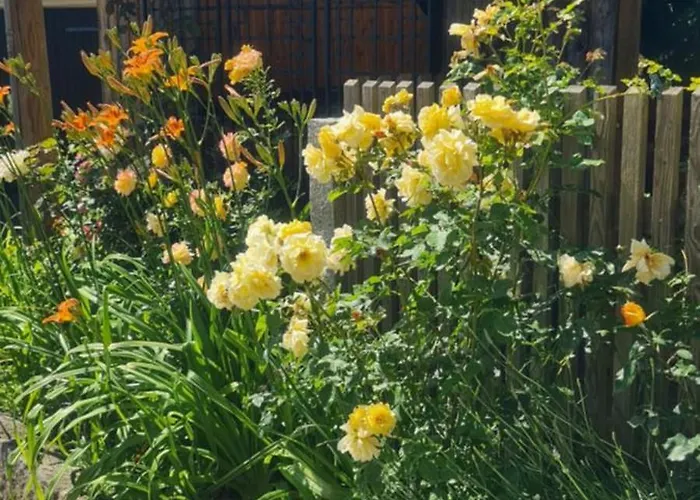 Gaestehaus Zum Rosengarten 度假居